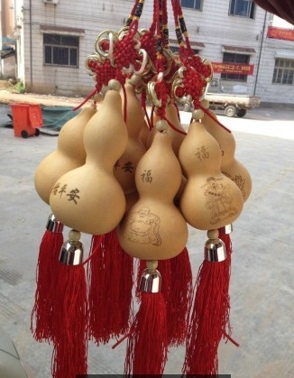 北京福禄果厂家