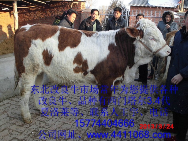 600ţֳ