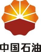 PPT800ʯ