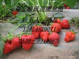 ղݮ罭ղݮ罭ղݮ