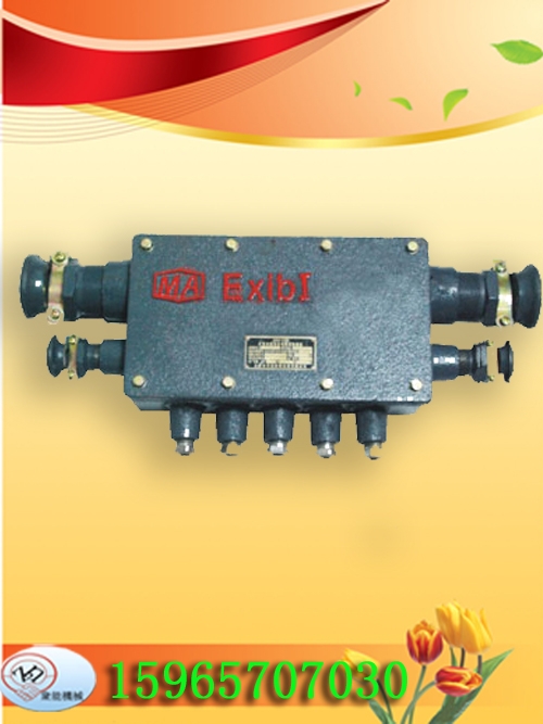 JHH-13ñ·ý