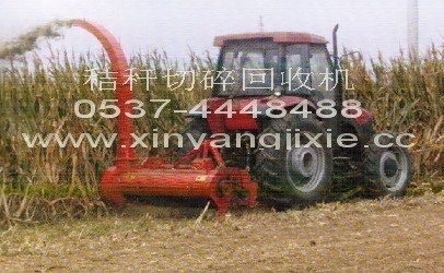 ׽ոѻջ(xy-100ȫ)