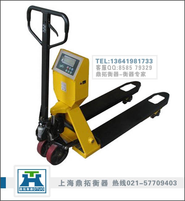2000kg泵ƣ3T