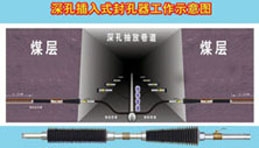 豸ʽ