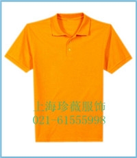 ϺPOLO