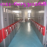 ֶܼ(X8)