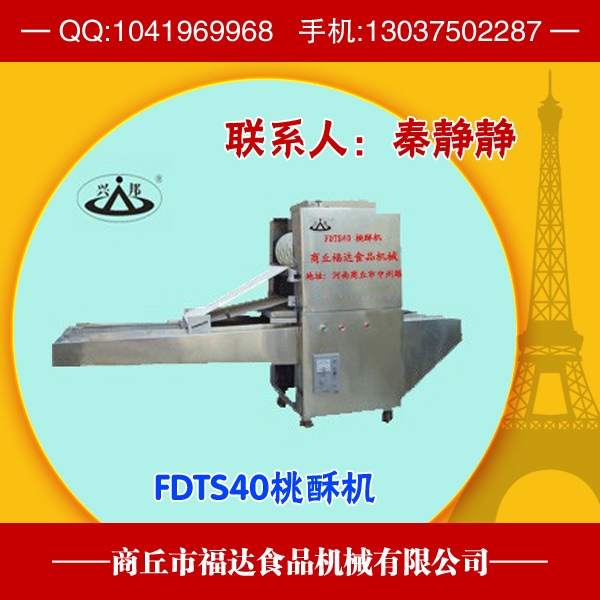 ֻ(FDTS40)