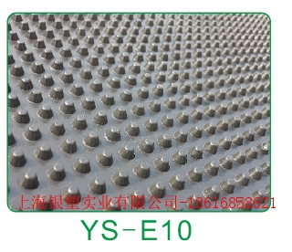 ˮ(YS-E10)