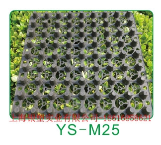 ˮ(YS-M25)