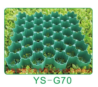 ֲݸ(YS-G70)