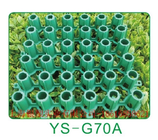 ֲݸ(YS-G70A)
