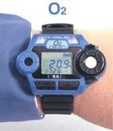 ͽGW-2X