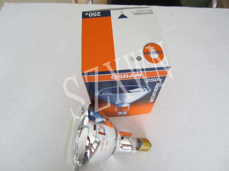 R125CL250W