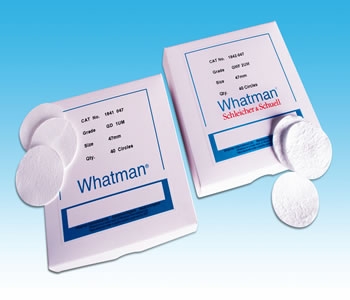 Whatmanֽ