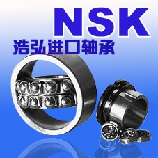 NSKкƺ빫˾