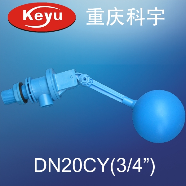 DN20CYϸ