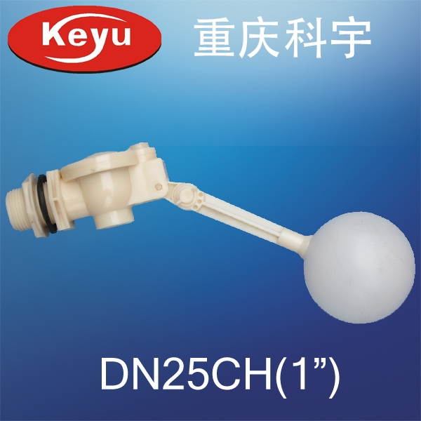 1ϸDN25CH