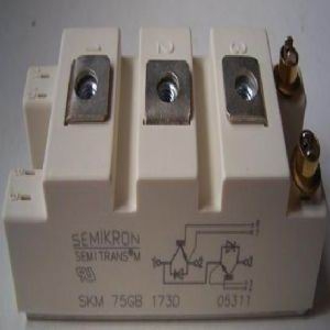 ſSKM75GB173D