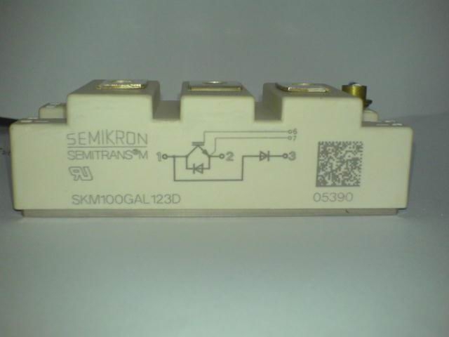 ſSKM100GAL173