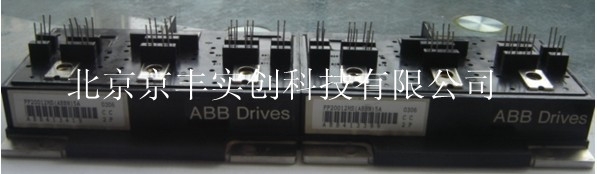 ABBPP10012HS