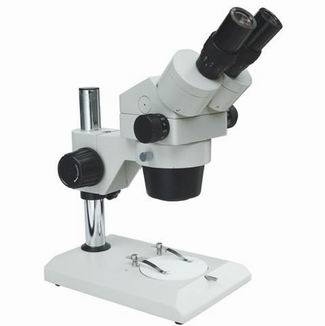 XTL-300⣩΢