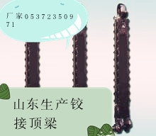 ½Ӷ-֧÷ǽ½