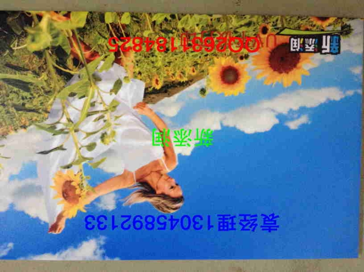 UV1385Ҿ߰ӡ