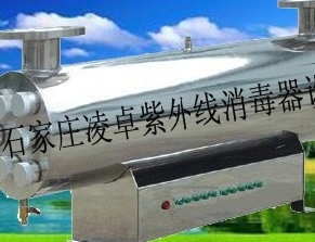 Ĵɶ