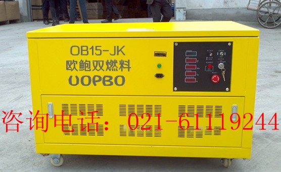 15KW˫ȼϷ