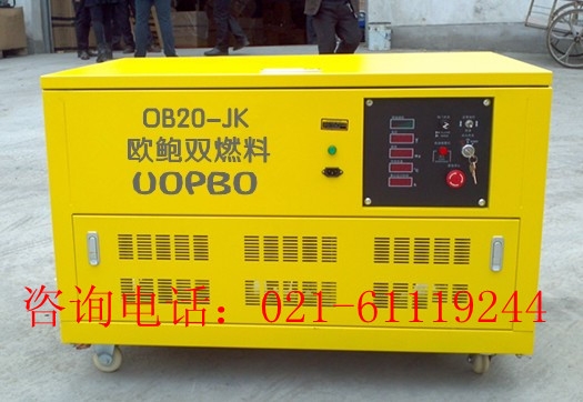 20KW˫ȼϷ