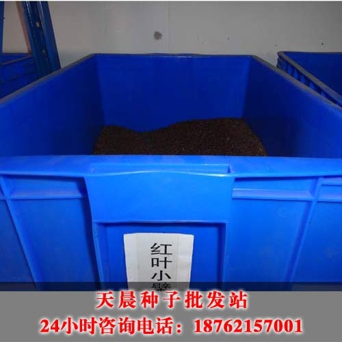 ҶС(110)