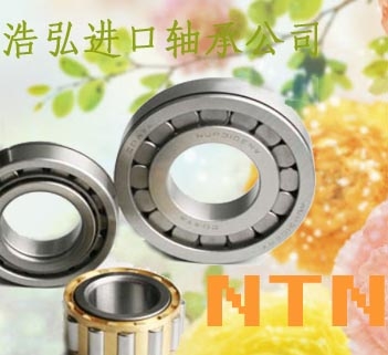 γǽNTN