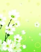 ϲʻǮ