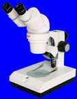 XTL2021΢