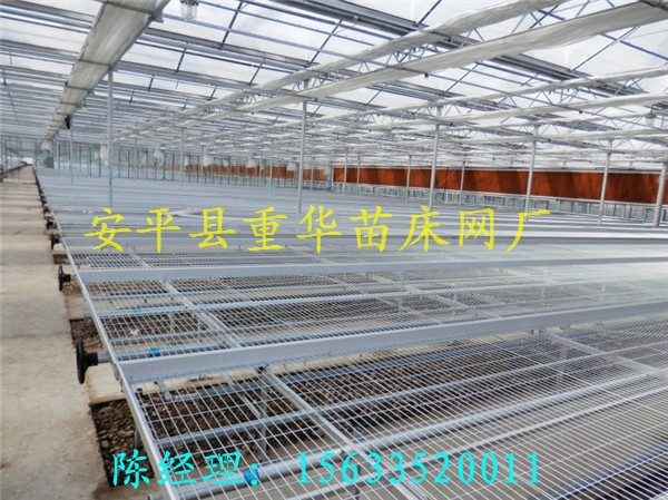ȶп紲ȶпƶ紲