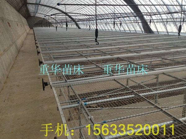 紲紲Ǯ