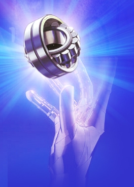 NSKĹ22330C