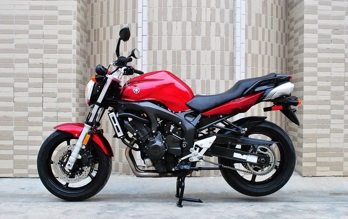 FZ-6NĦг