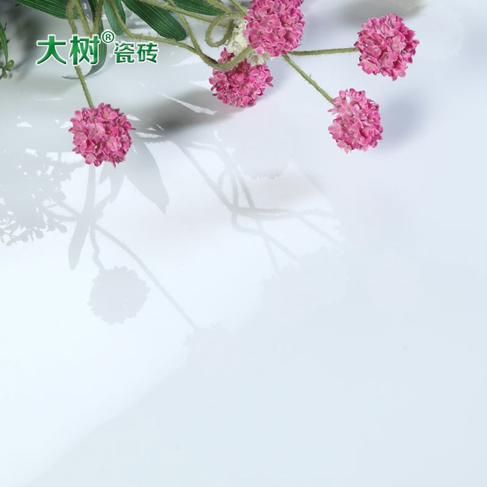 ɫȫש-ȫש۸