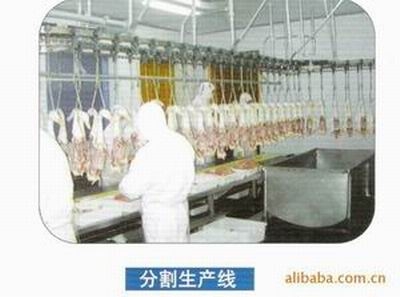 豸/׻е豸/