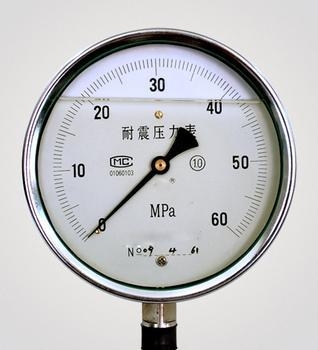 YTPN-100Ĥѹ