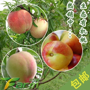̬лƷ֭