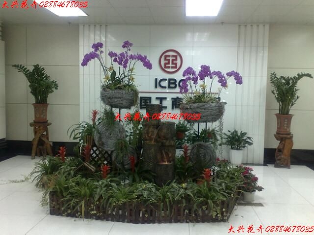 办公室盆景(大型)