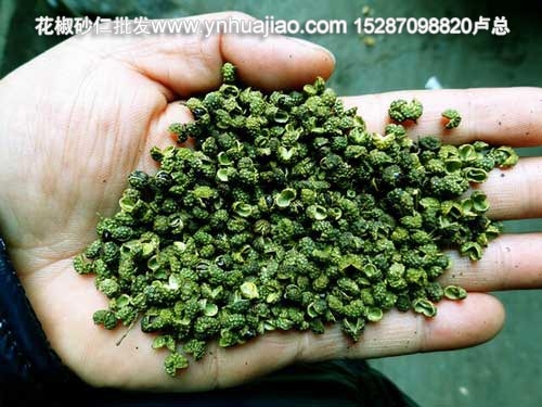 广西花椒,广西花椒砂仁批发