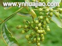 新疆花椒,新疆花椒砂仁批发