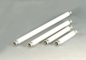 TL5HO80W