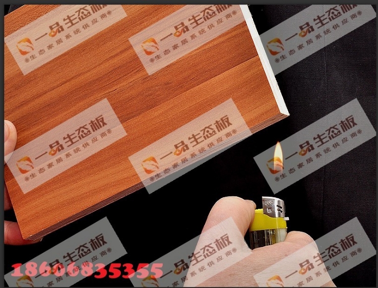 /̼Ű̬