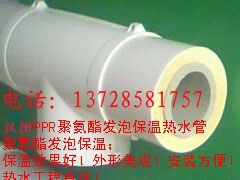 PPRݱ¹