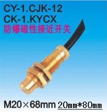 ԽӽCY-2