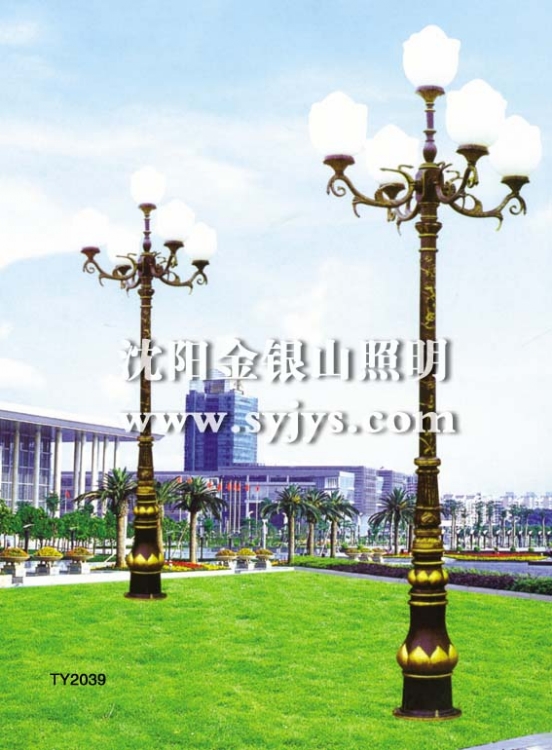 СͥԺ(TY2039)
